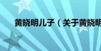 黃曉明兒子(關(guān)于黃曉明兒子的介紹)
