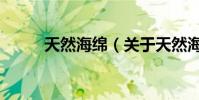天然海綿(關(guān)于天然海綿的介紹)