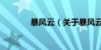 暴風(fēng)云(關(guān)于暴風(fēng)云的介紹)