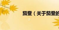 茄鲞(關(guān)于茄鲞的介紹)
