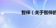 智伴(關(guān)于智伴的介紹)