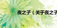 夜之子(關(guān)于夜之子的介紹)