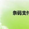條碼支付（關(guān)于條碼支付的介紹）