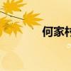 何家村（關(guān)于何家村的介紹）
