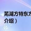 蕪湖方特東方神畫（關于蕪湖方特東方神畫的介紹）