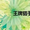 王牌獵手（關(guān)于王牌獵手的介紹）
