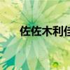 佐佐木利佳（關(guān)于佐佐木利佳的介紹）