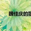 魏佳慶的歌（關(guān)于魏佳慶的歌的介紹）