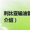 利比亞輸油管爆炸（關(guān)于利比亞輸油管爆炸的介紹）