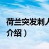 荷蘭突發(fā)刺人事件（關(guān)于荷蘭突發(fā)刺人事件的介紹）