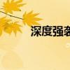 深度強(qiáng)襲（關(guān)于深度強(qiáng)襲的介紹）