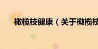 橄欖枝健康(關(guān)于橄欖枝健康的介紹)