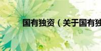 國有獨資(關(guān)于國有獨資的介紹)