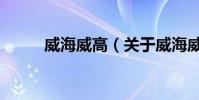 威海威高(關于威海威高的介紹)