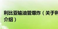 利比亞輸油管爆炸(關(guān)于利比亞輸油管爆炸的介紹)