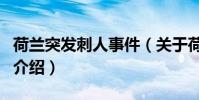 荷蘭突發(fā)刺人事件(關(guān)于荷蘭突發(fā)刺人事件的介紹)