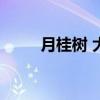 月桂樹 大雁塔的標(biāo)題是什么意思？