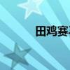田雞賽馬的故事告訴我們什么？
