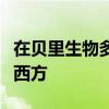 在貝里生物多樣性保護(hù)中心禮堂舉行懷俄明與西方