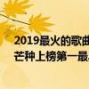 2019最火的歌曲有哪些（2019年十大最火的歌曲排行榜：芒種上榜第一最具魔性）