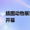 插圖動(dòng)物展覽將于8月6日在西澳大學(xué)美術(shù)館開(kāi)幕