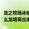 龍之牧場(chǎng)冰焰龍?jiān)趺磁嘤堉翀?chǎng)膠龍用什么龍培育出來）