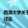 西澳大學(xué)關(guān)于國內(nèi)外能源政策的全球能源市場討論