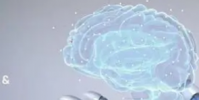 人工智能模型發(fā)現(xiàn)潛在藥物分子的速度要快一千倍