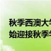 秋季西澳大學(xué)MBA課程學(xué)生將于8月21日開(kāi)始迎接秋季學(xué)期
