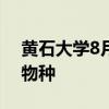 黃石大學(xué)8月3日UW研究中心演講中的入侵物種