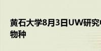 黃石大學(xué)8月3日UW研究中心演講中的入侵物種