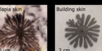 受海洋生物啟發(fā)的動(dòng)態(tài)建筑立面可以降低供暖制冷和照明成本