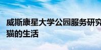 威斯康星大學公園服務研究中心演講的山獅小貓的生活