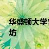 華盛頓大學(xué)美術(shù)館將于6月2日提供家庭工作坊