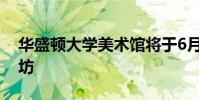 華盛頓大學(xué)美術(shù)館將于6月2日提供家庭工作坊