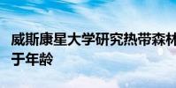 威斯康星大學(xué)研究熱帶森林對(duì)干旱的反應(yīng)取決于年齡
