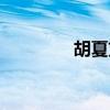 胡夏劉詩詩（胡夏劉詩詩）