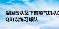 愛國者隊簽下前噴氣機隊的緊身隊(并轉換為QB)以練習球隊