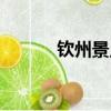 欽州景點(diǎn)排名大全（欽州景點(diǎn)）