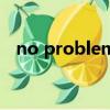 no problem（關(guān)于no problem的介紹）