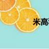 米高積遜簡歷（米高積遜）