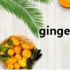 ginger（關(guān)于ginger的簡介）