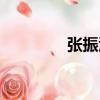 張振江（關(guān)于張振江介紹）