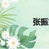 張振文（關(guān)于張振文介紹）