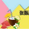 張振廷（關(guān)于張振廷介紹）