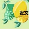 張文友（關(guān)于張文友介紹）