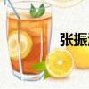 張振濤（關(guān)于張振濤介紹）