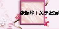 張振峰(關于張振峰介紹)