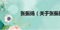 張振揚(yáng)(關(guān)于張振揚(yáng)介紹)