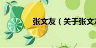張文友(關(guān)于張文友介紹)